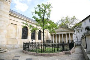 árbol de Gernika