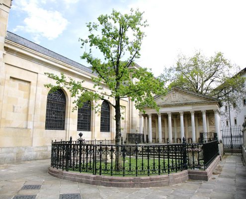árbol de Gernika