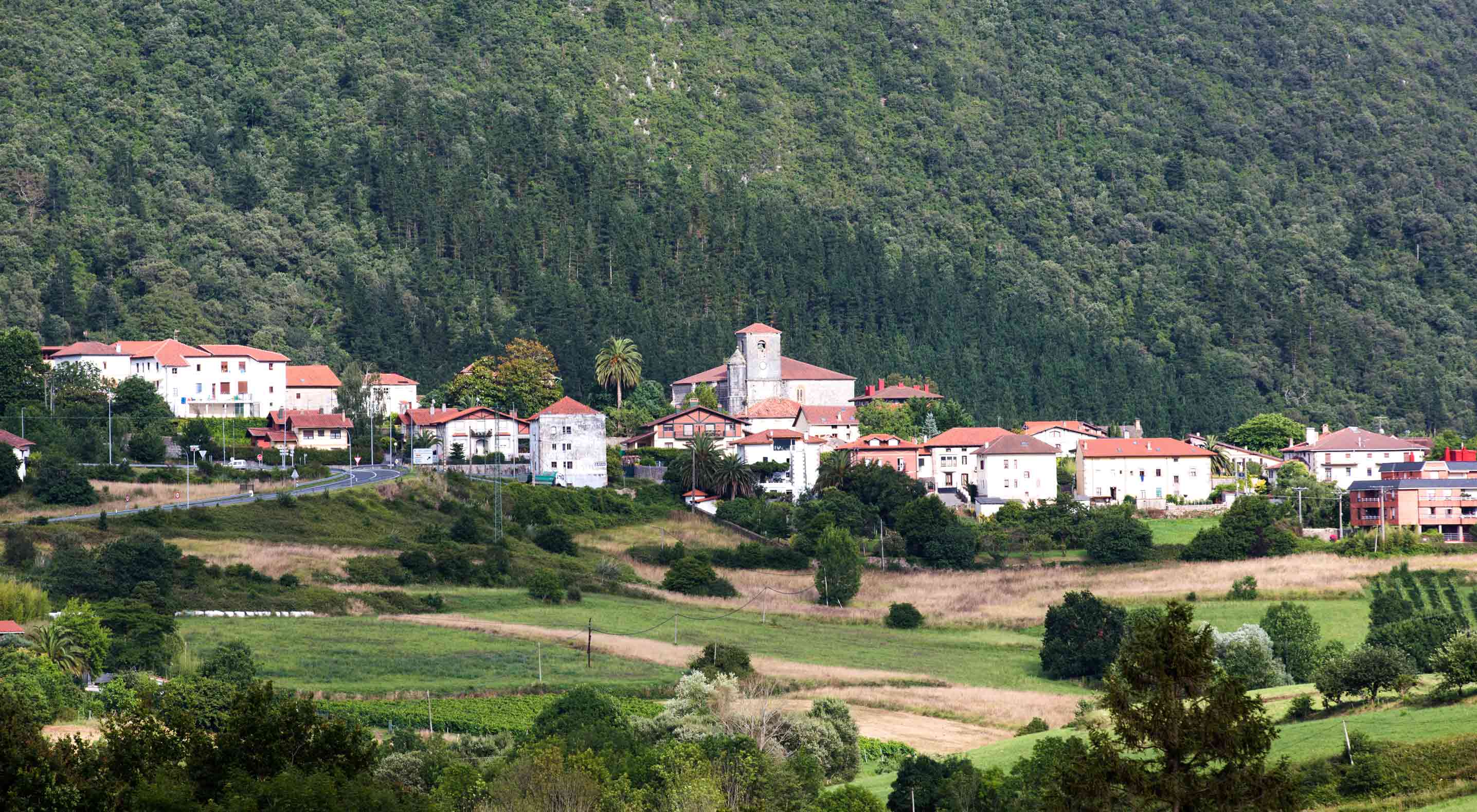 GAUTEGIZ ARTEAGA