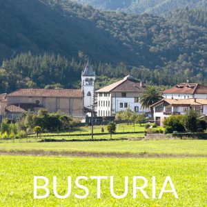 BUSTURIA