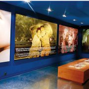 Museum of Peace