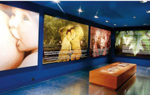 Museum of Peace
