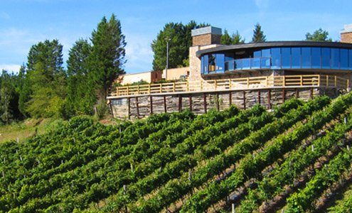 Bodega Berroja