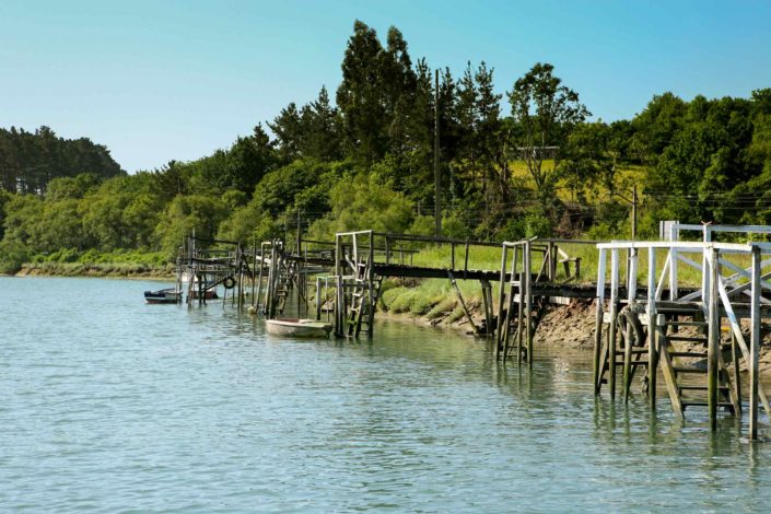 Marisma-de-Murueta