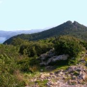 Cabo de Ogoño