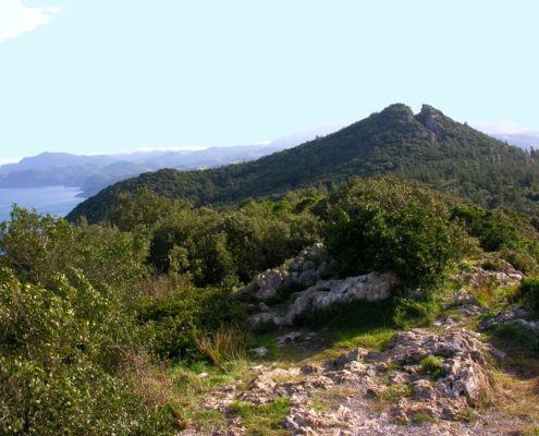 Cabo de Ogoño