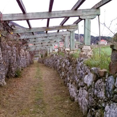 camino reyes