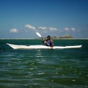 surf
