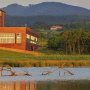 Bird Center