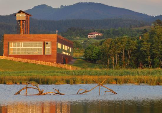 Bird Center