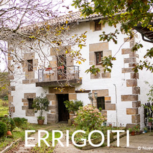 ERRIGOTI