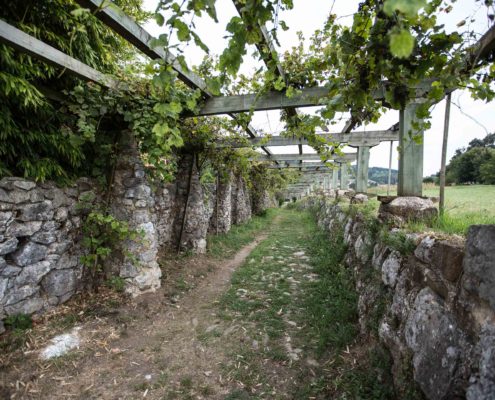 Parrales-busturia