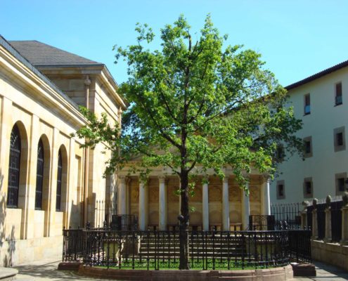 ARBRE DE GERNIKA