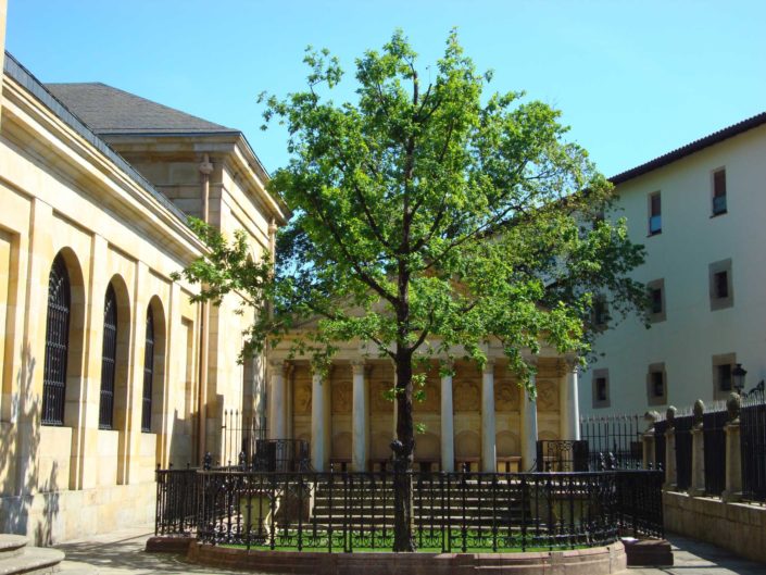 ARBRE DE GERNIKA