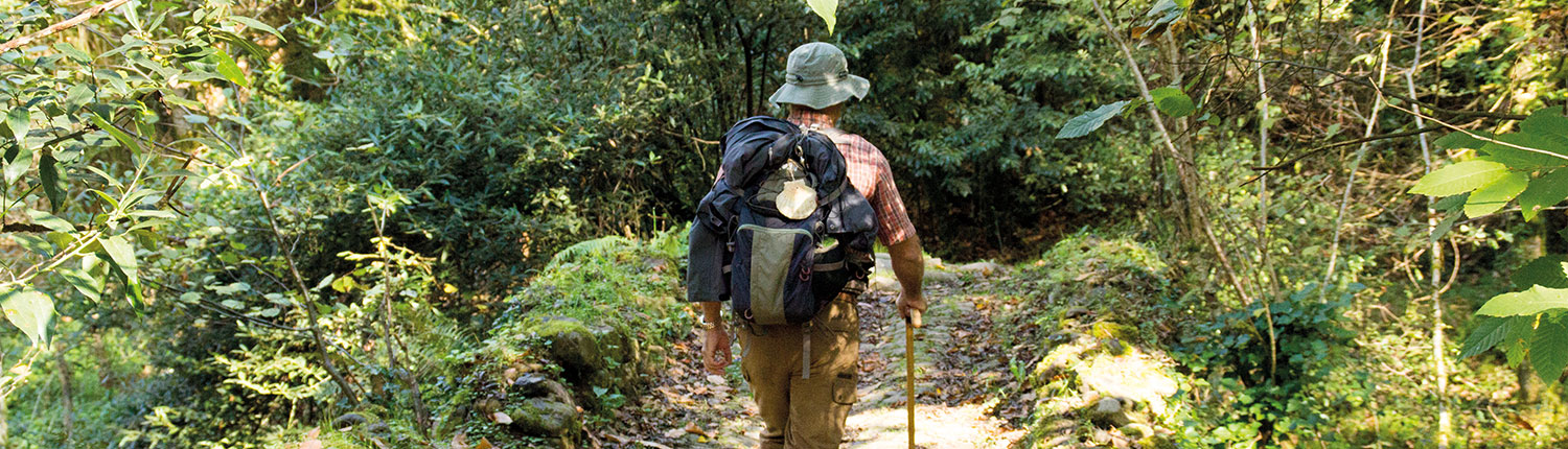 camino de santiago
