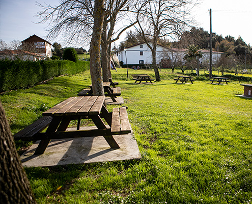 PICNIC AREA arboliz