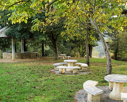 PICNIC AREA ea