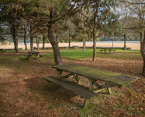 San Antonio picnic