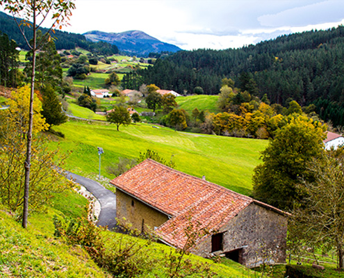 paisaje Ereño