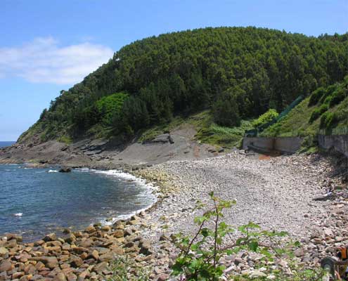 BEACH lapatxa