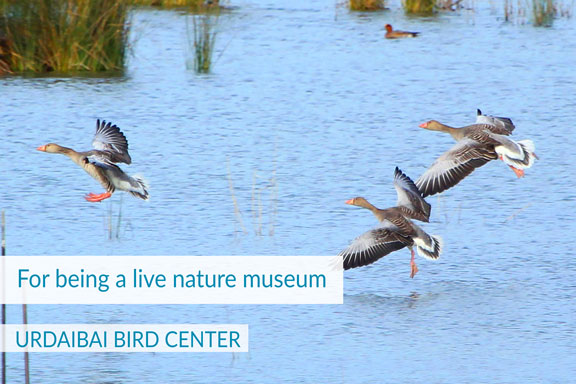 URDAIBAI BIRD CENTER
