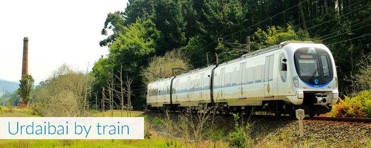 Urdaibai-by-train