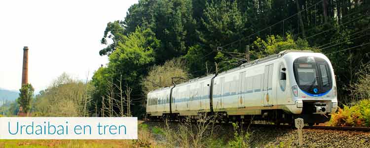 en tren por Urdaibai