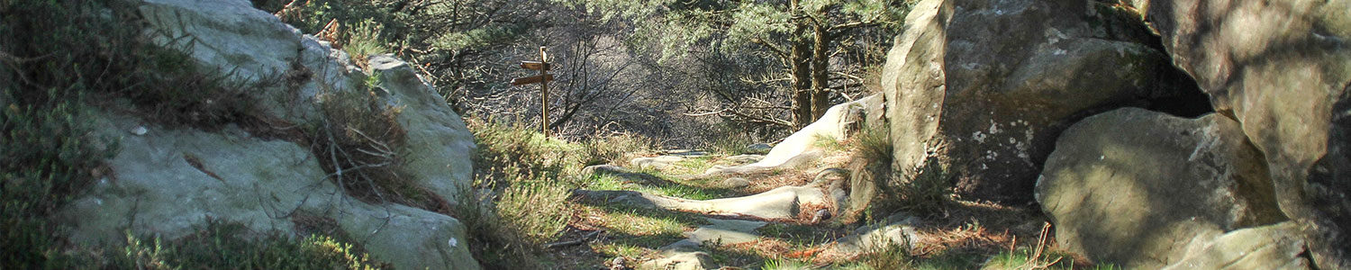 RUTA-DEL-VINO-Y-EL-PESCADO RUTA-DEL-VINO-Y-EL-PESCADO