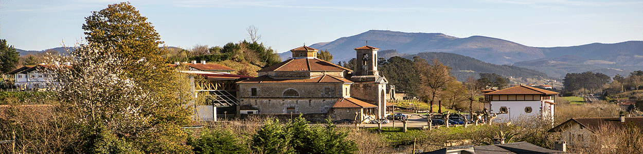 Panorámica de Murueta